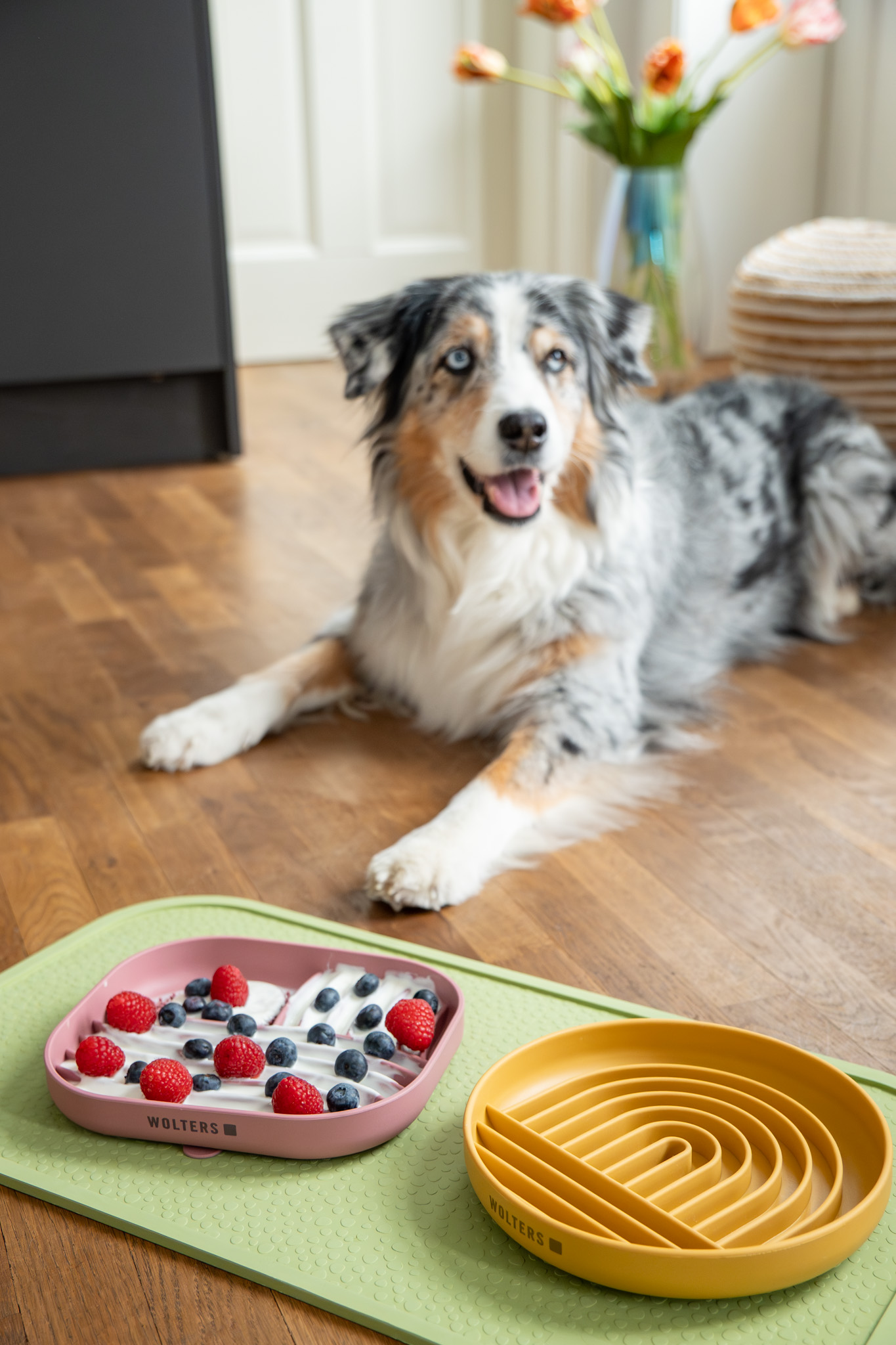 Beschreibung des Fotos